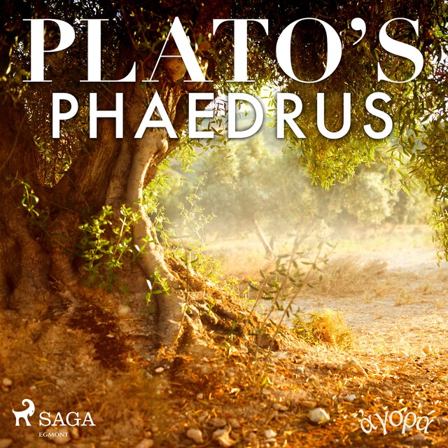 Book cover for Plato’s Phaedrus