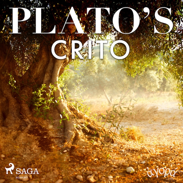 Boekomslag van Plato’s Crito