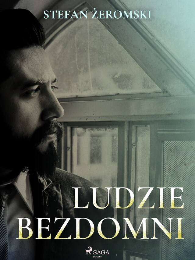 Book cover for Ludzie bezdomni