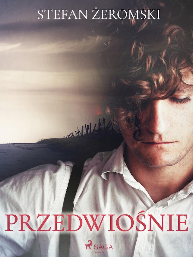 Book cover for Przedwiośnie
