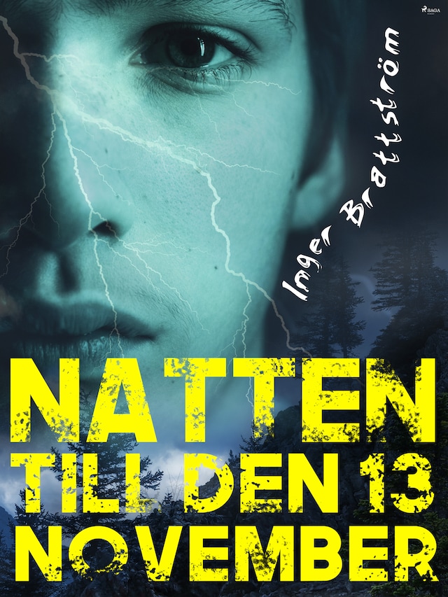 Okładka książki dla Natten till den 13 november