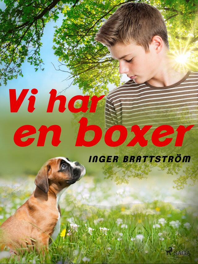 Book cover for Vi har en boxer