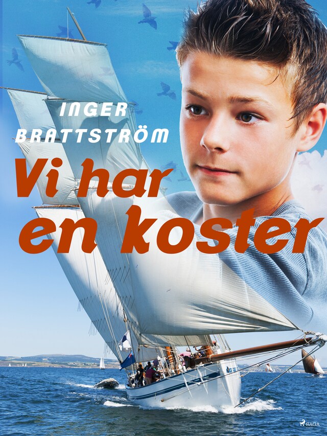 Couverture de livre pour Vi har en koster