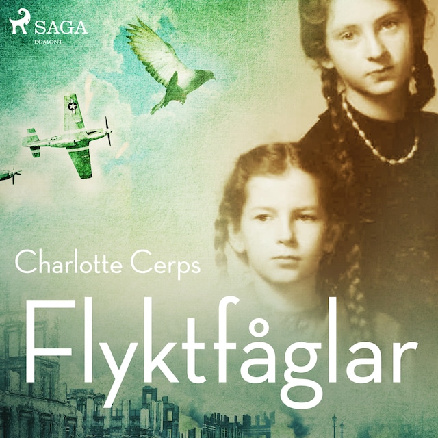 Book cover for Flyktfåglar