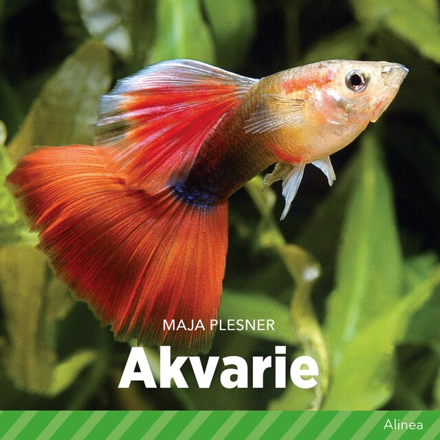 Bogomslag for Akvarie