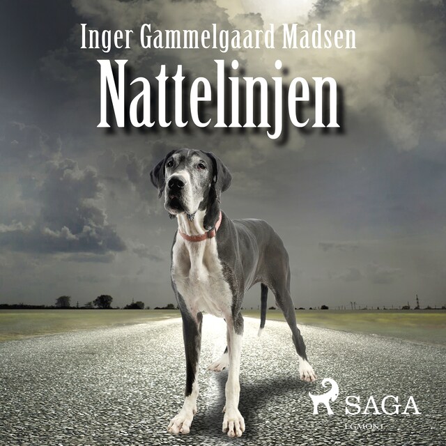 Book cover for Nattelinjen