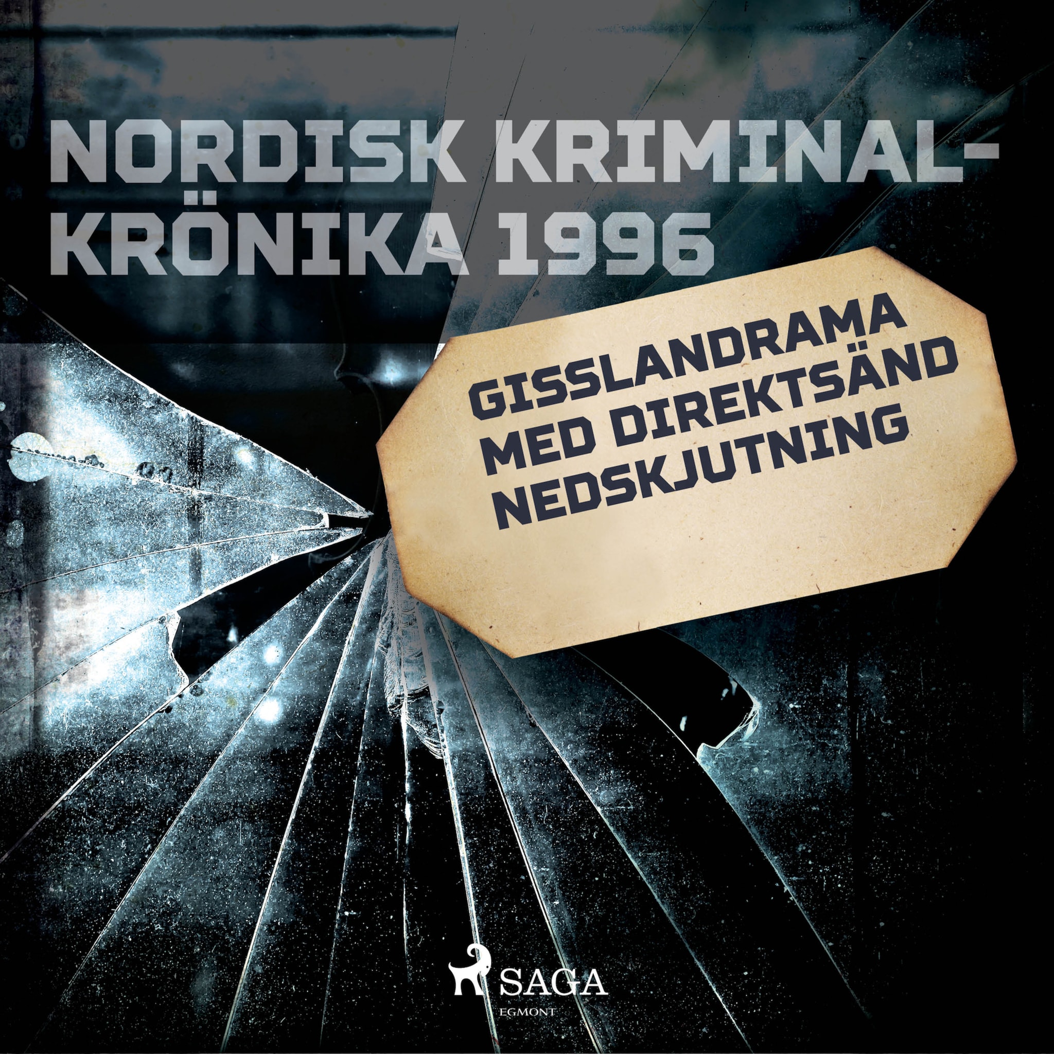 Gisslandrama med direktsänd nedskjutning