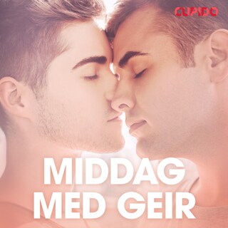Middag med Geir - erotiska noveller bookCoverFor