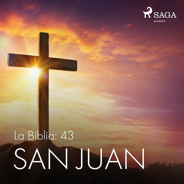 Book cover for La Biblia: 43 San Juan
