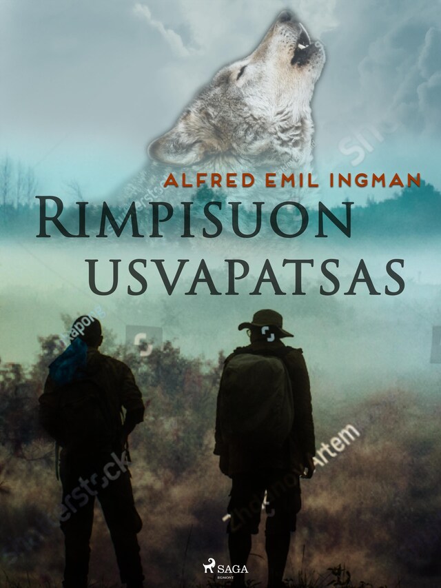 Buchcover für Rimpisuon usvapatsas