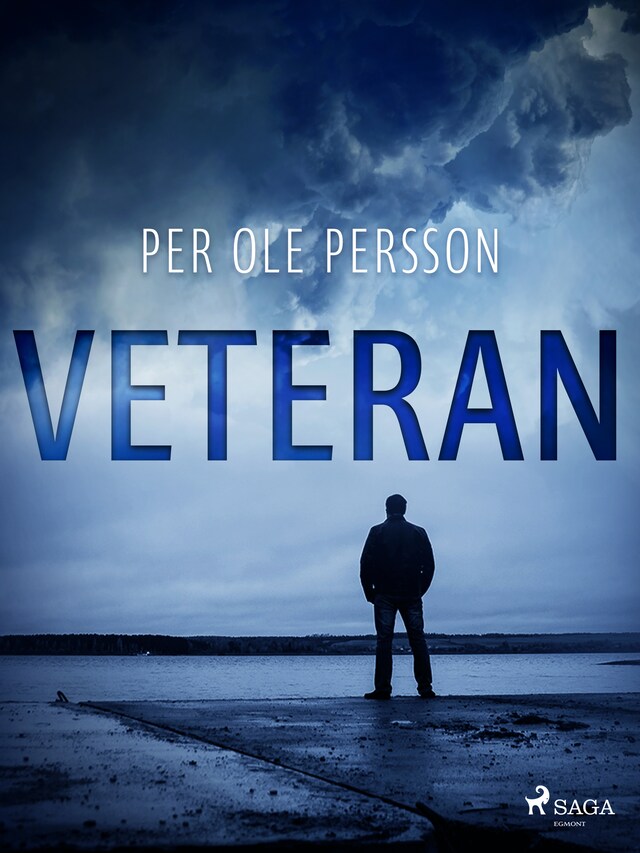 Book cover for Veteran