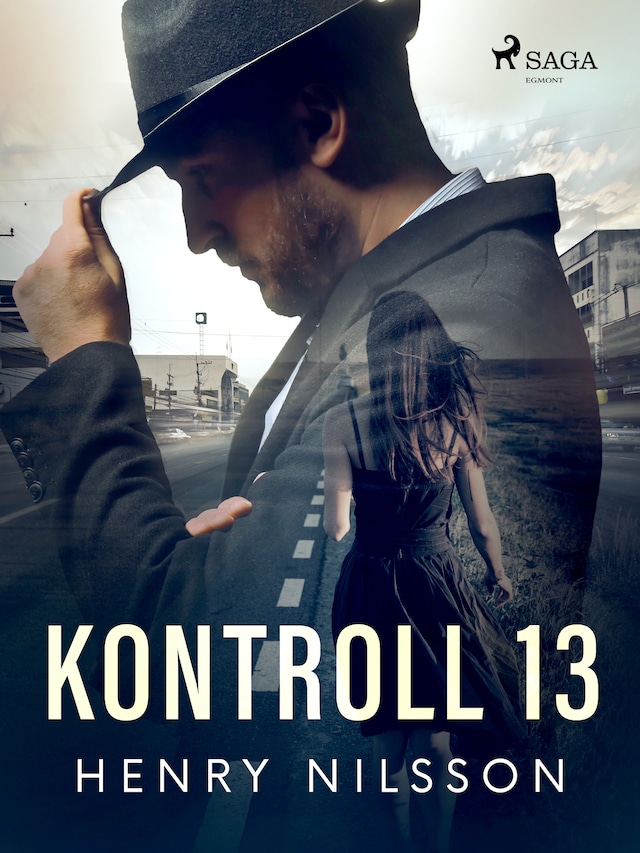 Book cover for Kontroll 13
