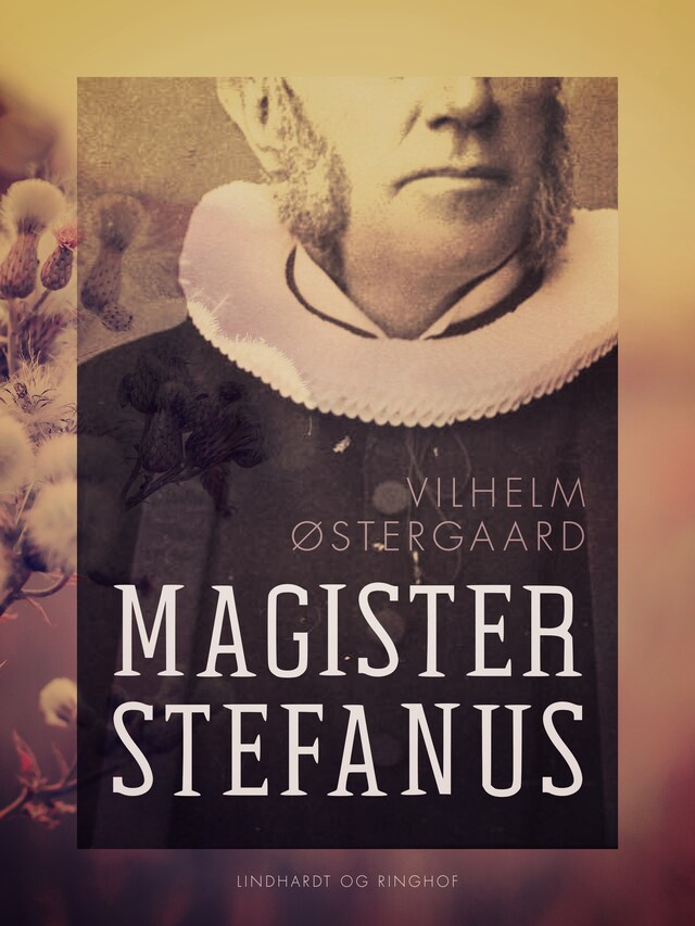 Magister Stefanus