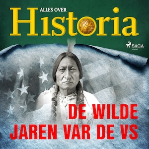 De wilde jaren var de VS - luisterboek