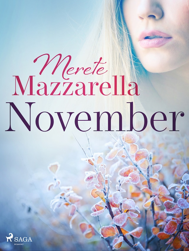 Book cover for November