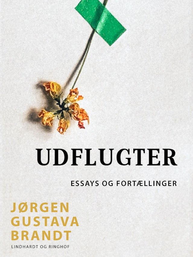 Bogomslag for Udflugter