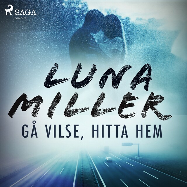 Couverture de livre pour Gå vilse, hitta hem