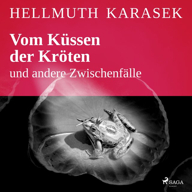 Book cover for Vom Küssen der Kröten und andere Zwischenfälle