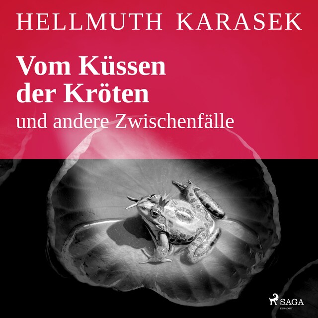 Portada de libro para Vom Küssen der Kröten und andere Zwischenfälle