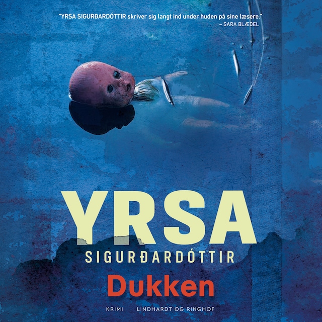 Book cover for Dukken