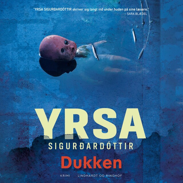 Book cover for Dukken