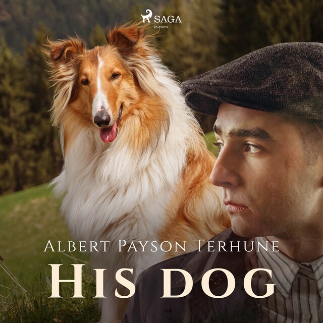 Book cover for His Dog