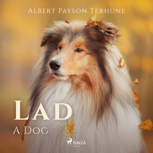 Book cover for Lad: A Dog