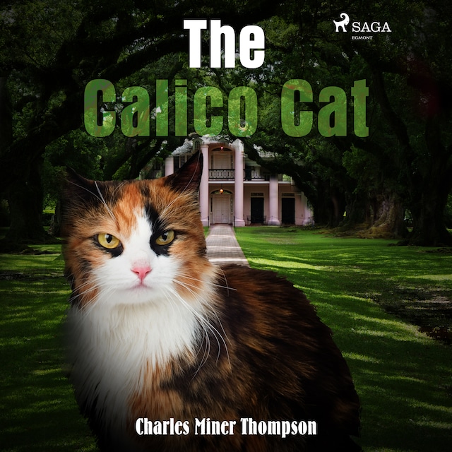Boekomslag van The Calico Cat