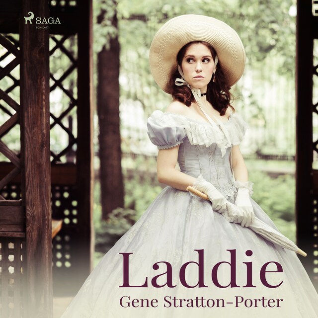 Book cover for Laddie