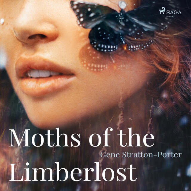 Book cover for Moths of the Limberlost