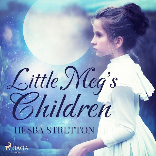 Book cover for Little Meg's Children
