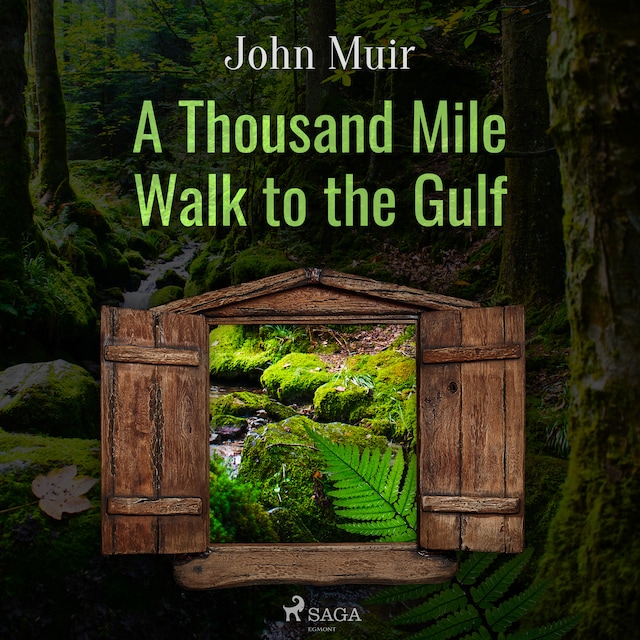 Book cover for A Thousand Mile Walk to the Gulf