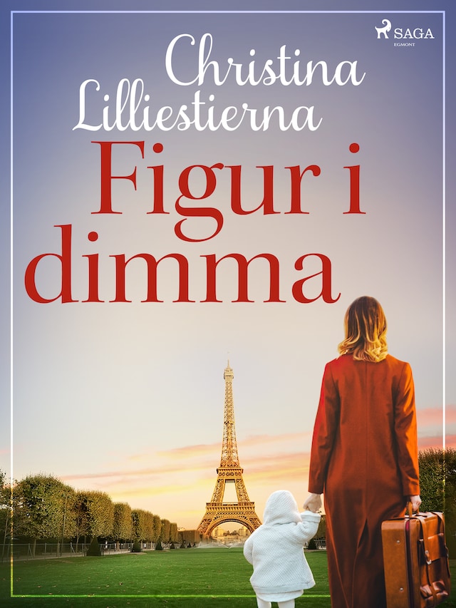 Book cover for Figur i dimma