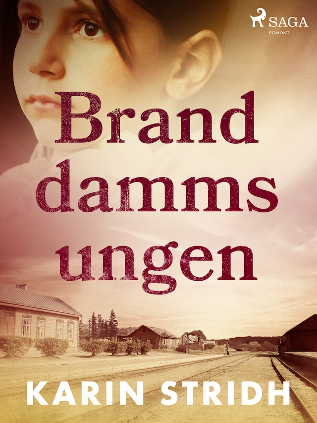 Book cover for Branddammsungen