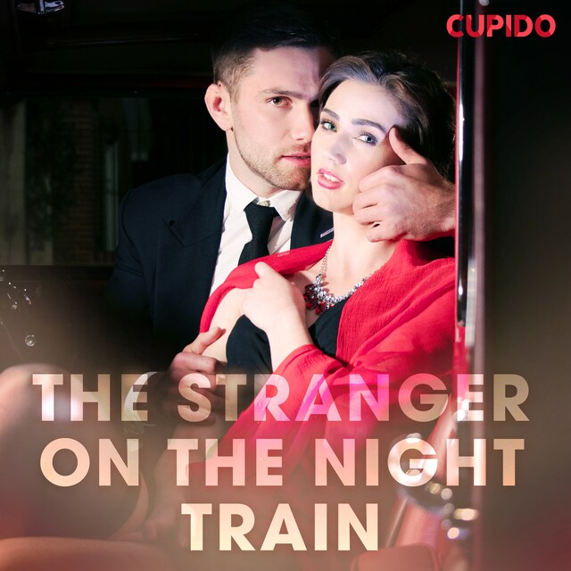 Book cover for The Stranger on the Night Train