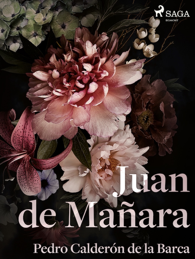 Boekomslag van Juan de Mañara