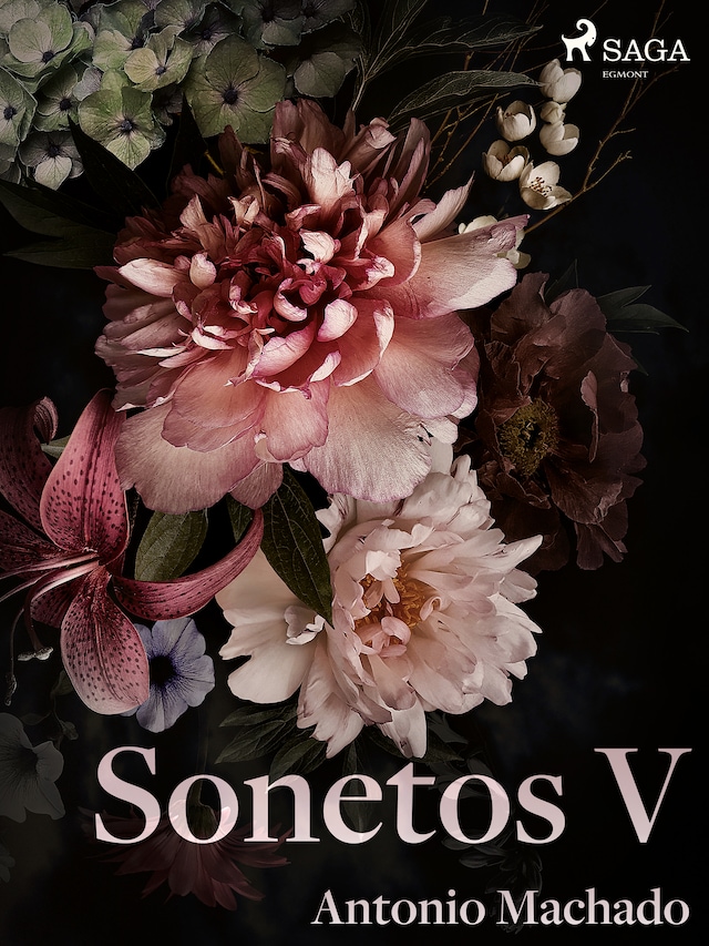 Boekomslag van Sonetos V