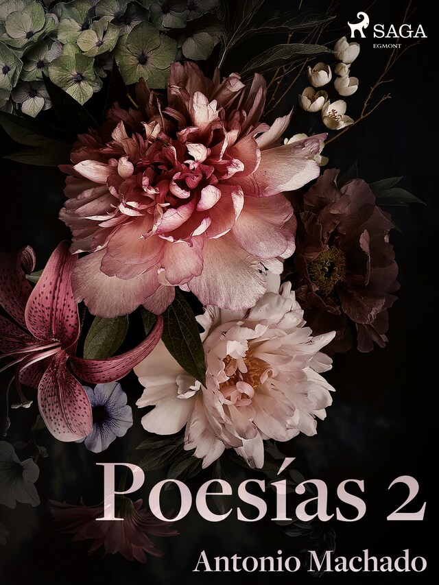 Buchcover für Poesías 2