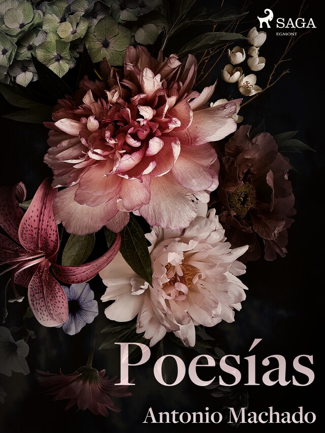 Buchcover für Poesías