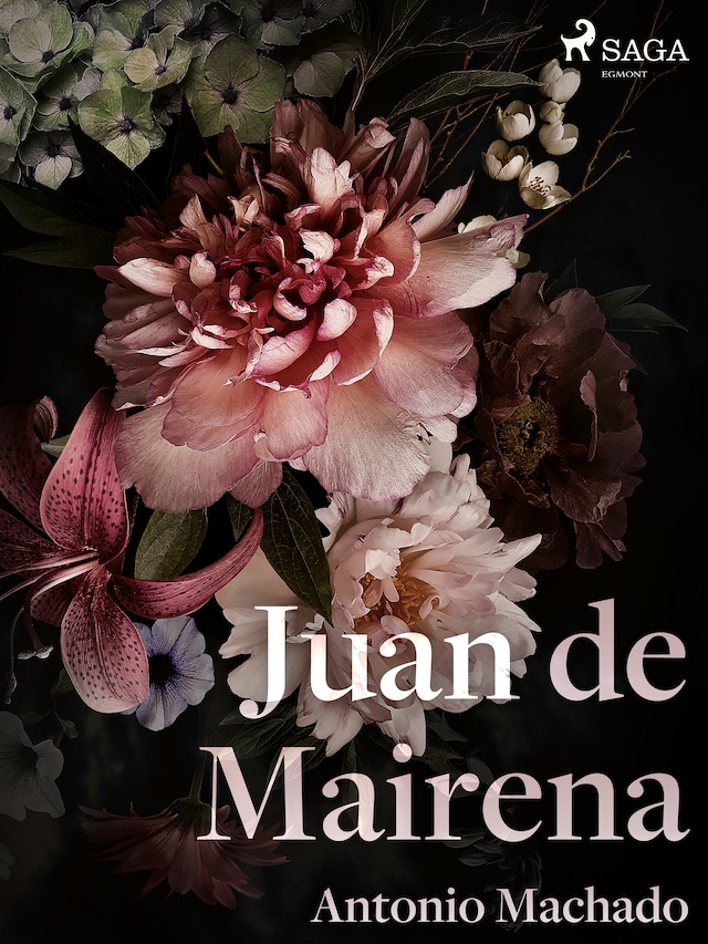 Boekomslag van Juan de Mairena