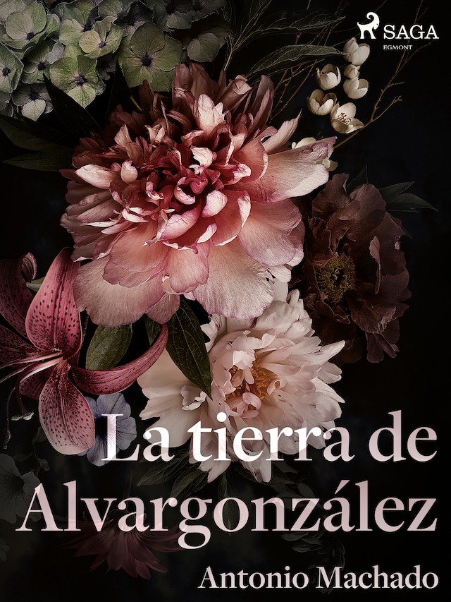 Book cover for La tierra de Alvargonzález