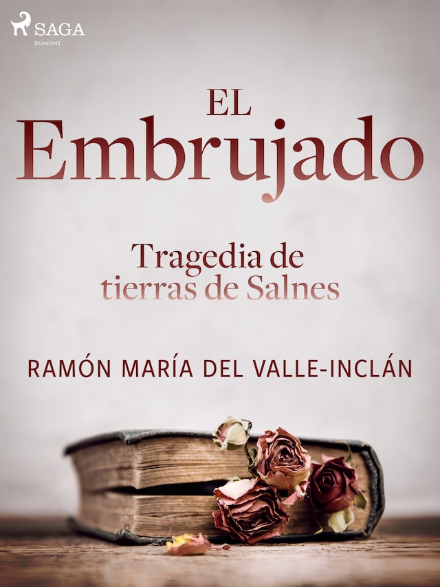 Book cover for El embrujado. Tragedia de tierras de Salnes
