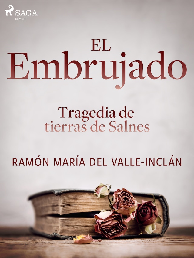 Couverture de livre pour El embrujado. Tragedia de tierras de Salnes