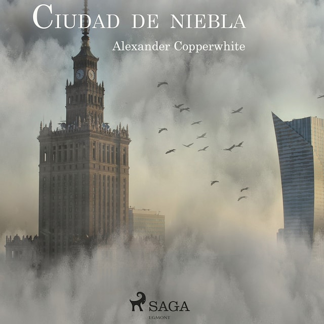Bokomslag för Ciudad de niebla