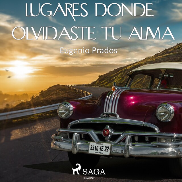 Copertina del libro per Lugares donde olvidaste tu alma