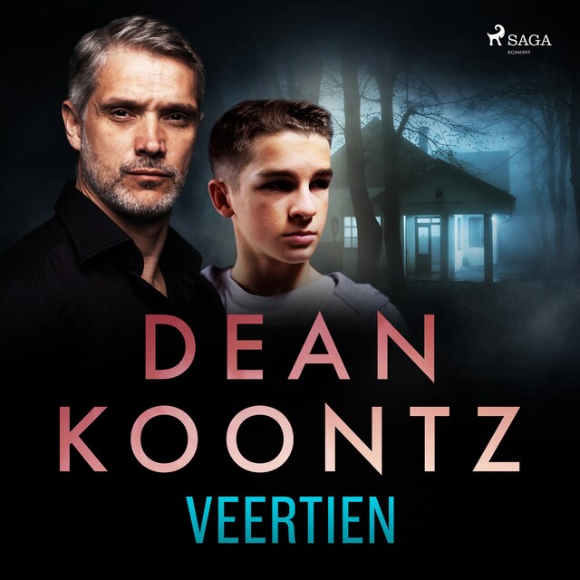 Book cover for Veertien