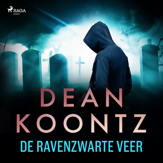 Book cover for De ravenzwarte veer