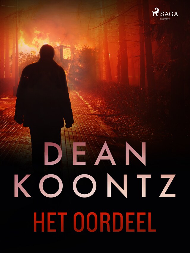 Buchcover für Het oordeel