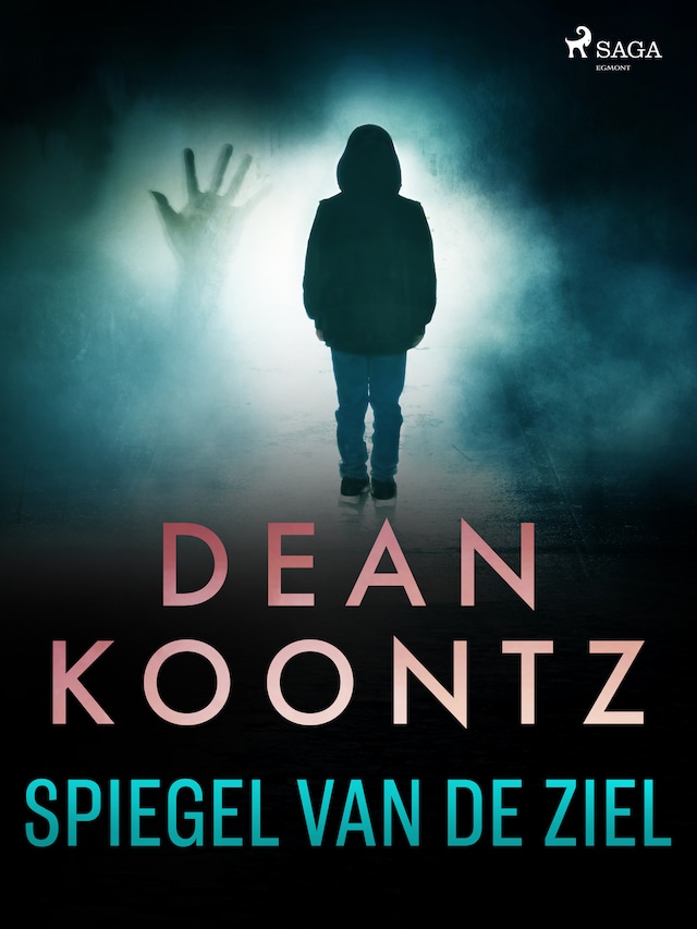 Book cover for Spiegel van de ziel