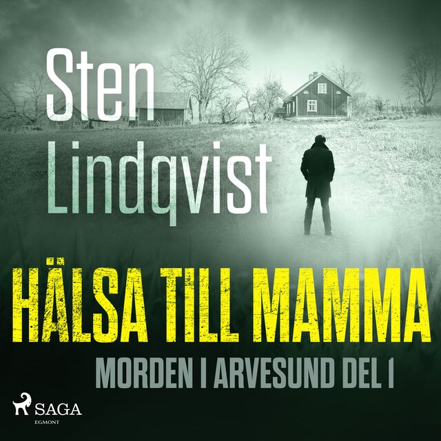 Book cover for Hälsa till mamma